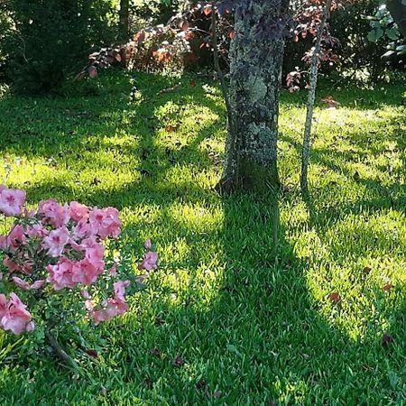 Bed and Breakfast Quinta D'Avo Amelia Alquerubim Exterior foto