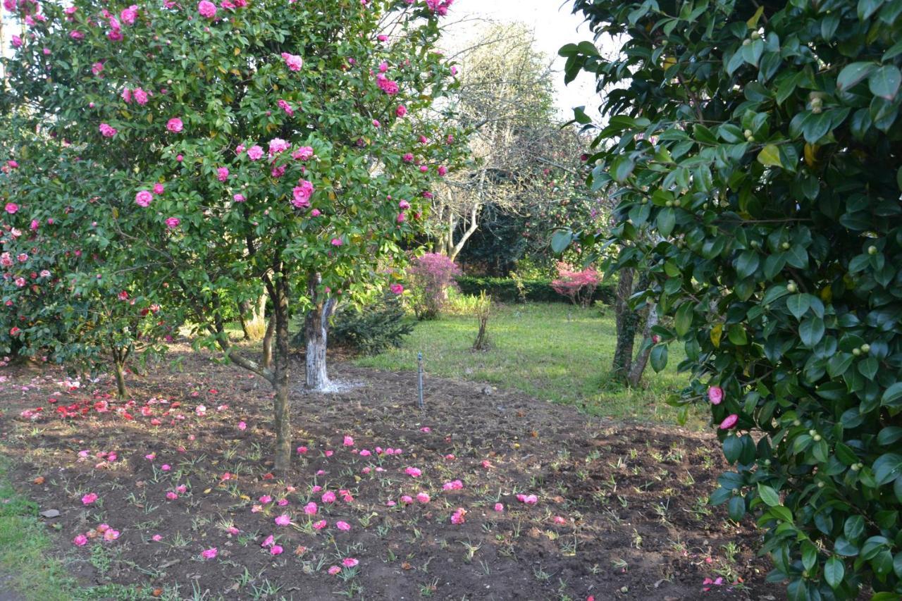 Bed and Breakfast Quinta D'Avo Amelia Alquerubim Exterior foto