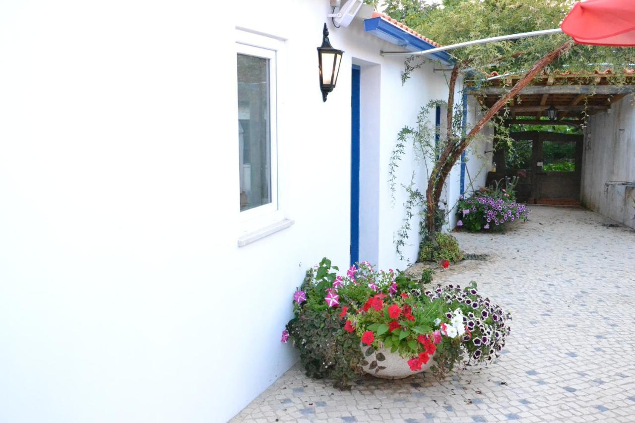 Bed and Breakfast Quinta D'Avo Amelia Alquerubim Exterior foto