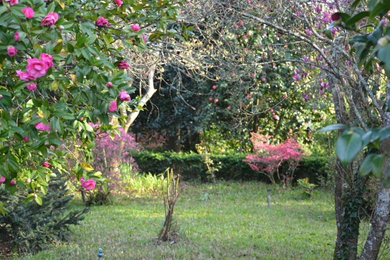 Bed and Breakfast Quinta D'Avo Amelia Alquerubim Exterior foto