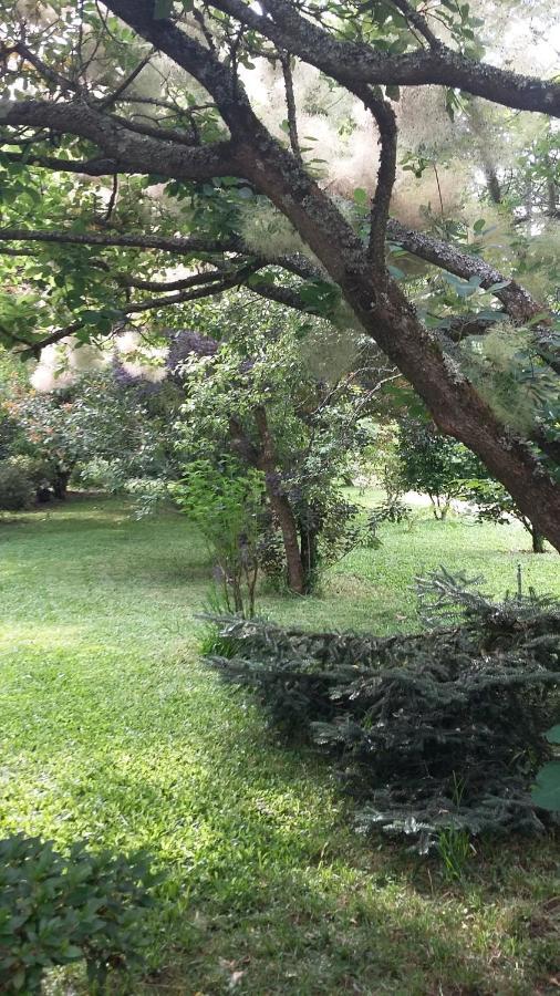 Bed and Breakfast Quinta D'Avo Amelia Alquerubim Exterior foto