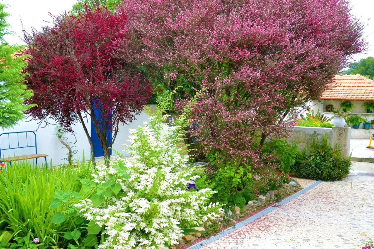 Bed and Breakfast Quinta D'Avo Amelia Alquerubim Exterior foto